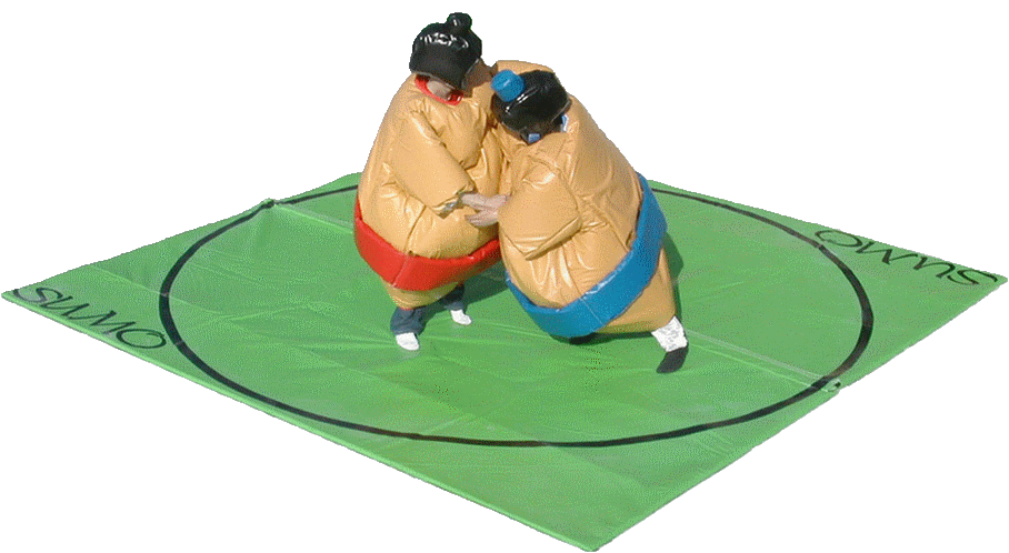 Les Sumos Adultes