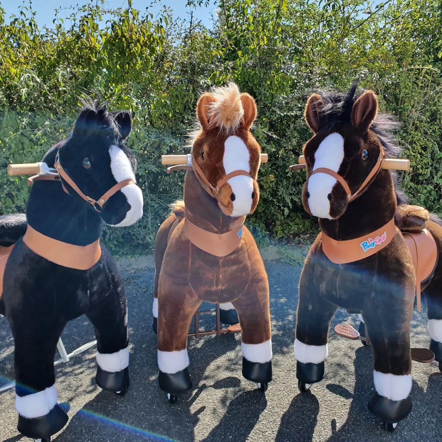 Poney mécanique - PONEY EXPRESS