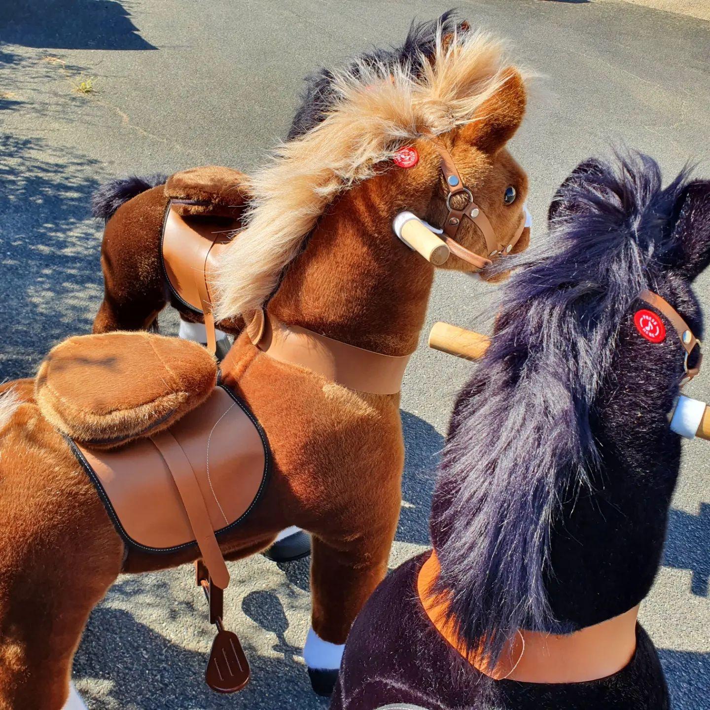 Poney mécanique - PONEY EXPRESS